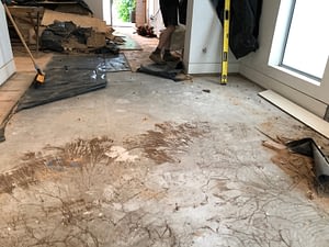 What the slab looked like when we pulled up the flooring...